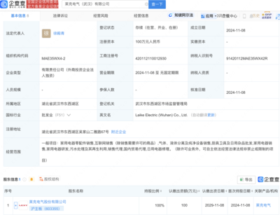 萊克電氣武漢布局新動向:全資子公司盛大開業,瞄準家電市場新機遇!